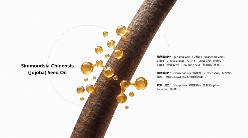 荷荷巴油對頭髮的功效：為什麼USDA有機認證荷荷巴油是護髮首選成分